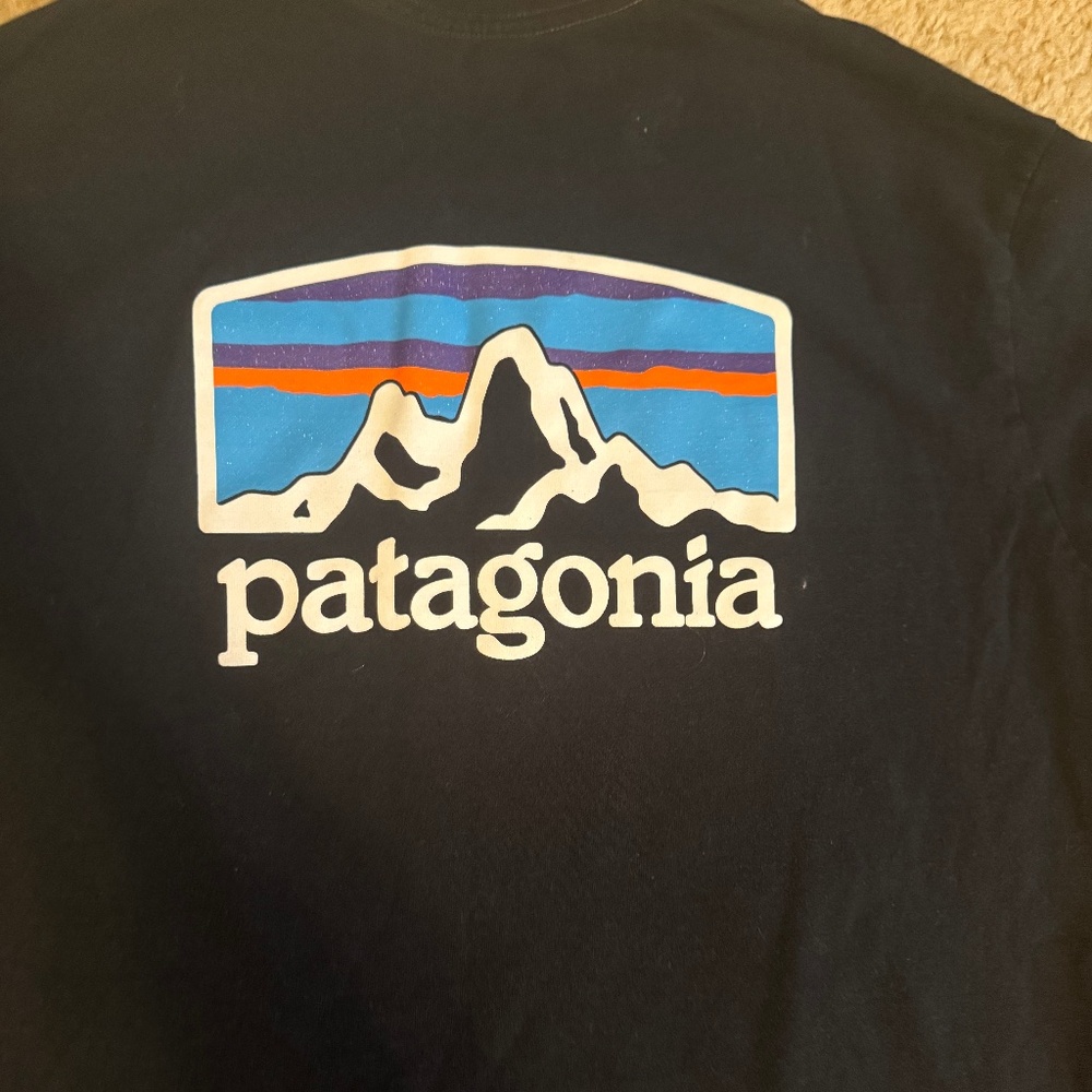 Patagonia short sleeve shirt